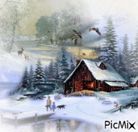 Winter And Wildlife! - GIF animado grátis