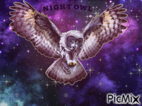 OWL animēts GIF