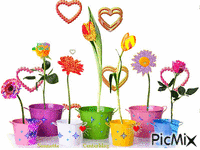 fleurs 2 - Darmowy animowany GIF