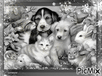 I nostri amici animali - 無料のアニメーション GIF