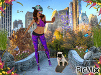 central park Animated GIF