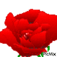 flower with heart - GIF animé gratuit