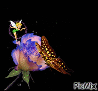 Blumen - Ilmainen animoitu GIF