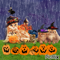 halloween cat - Free animated GIF