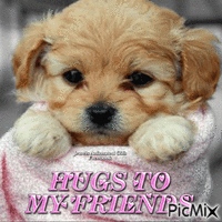 Doggie Hugs - GIF animé gratuit