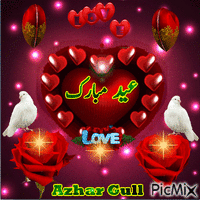 Azhar Gull - GIF animasi gratis