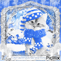 Christmas cat blue