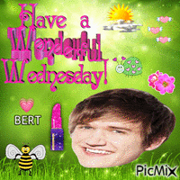 Have a wonderful Wednesday bert - Free animated GIF