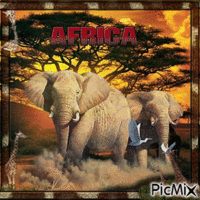 Africa, Afrika animuotas GIF