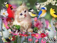 Welcome Spring - GIF animado gratis