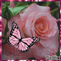 Uma flor e uma borboleta - Darmowy animowany GIF