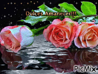dulce amanecer - 免费动画 GIF