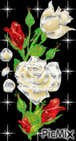 ruže animowany gif
