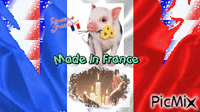 FRANCE - Zdarma animovaný GIF