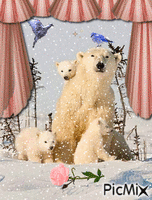 medvědi - Zdarma animovaný GIF