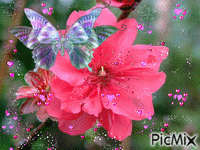 роза - GIF animado grátis