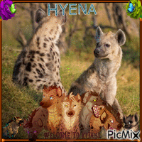 Hyena animovaný GIF