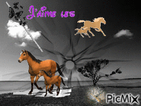 chevaux アニメーションGIF