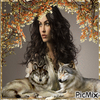 Haley and wolves