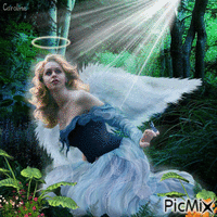 angel guidance animerad GIF