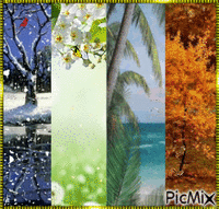 4 Seasons! - Бесплатный анимированный гифка