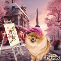 A Dog in Paris