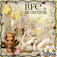 life is beautiful - GIF animé gratuit