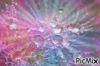 magic crystals - Безплатен анимиран GIF