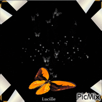 butterfly animovaný GIF