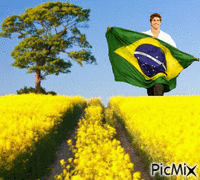 Brasil - Безплатен анимиран GIF