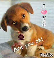 doggie says are you ok, i love you. red hearts are around the words are  you o k. - Gratis geanimeerde GIF
