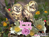 HAPPY SUNDAY OWLS アニメーションGIF