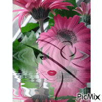 jarné kvety - Animovaný GIF zadarmo