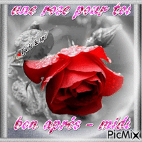 une rose pour toi bon après-midi - 免费动画 GIF