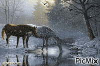 Winter horses GIF animasi