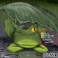 De la pluie encore  !!!!! - Zdarma animovaný GIF