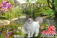 BONNE SOIRÉE 08 04 17 animovaný GIF