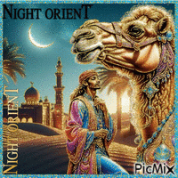 Orient... - Free animated GIF