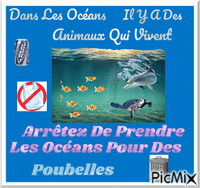Mon panneau "Dans les océans" animovaný GIF