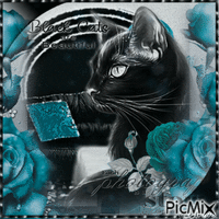Black Cat κινούμενο GIF