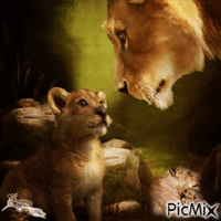 Amor de leão animált GIF
