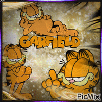 Garfield animovaný GIF