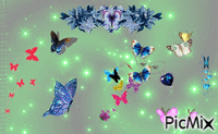 papillonssssssss - Gratis animerad GIF