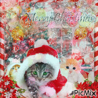 ✶ Kitty Christmas {by Merishy} ✶