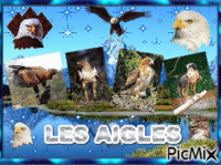 LES AIGLES (montage fait par GINO GIBILARO) - GIF animado gratis