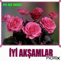 Bir Aşk Masalı - Бесплатный анимированный гифка