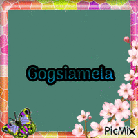 Gogsiamela - 無料のアニメーション GIF