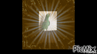 jaco - Bezmaksas animēts GIF