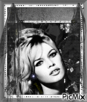 Brigitte Bardot...french actress