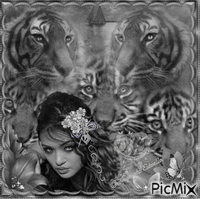 La femme et le tigre Gris Animated GIF